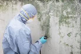 Best Industrial Mold Remediation  in Wanaque, NJ